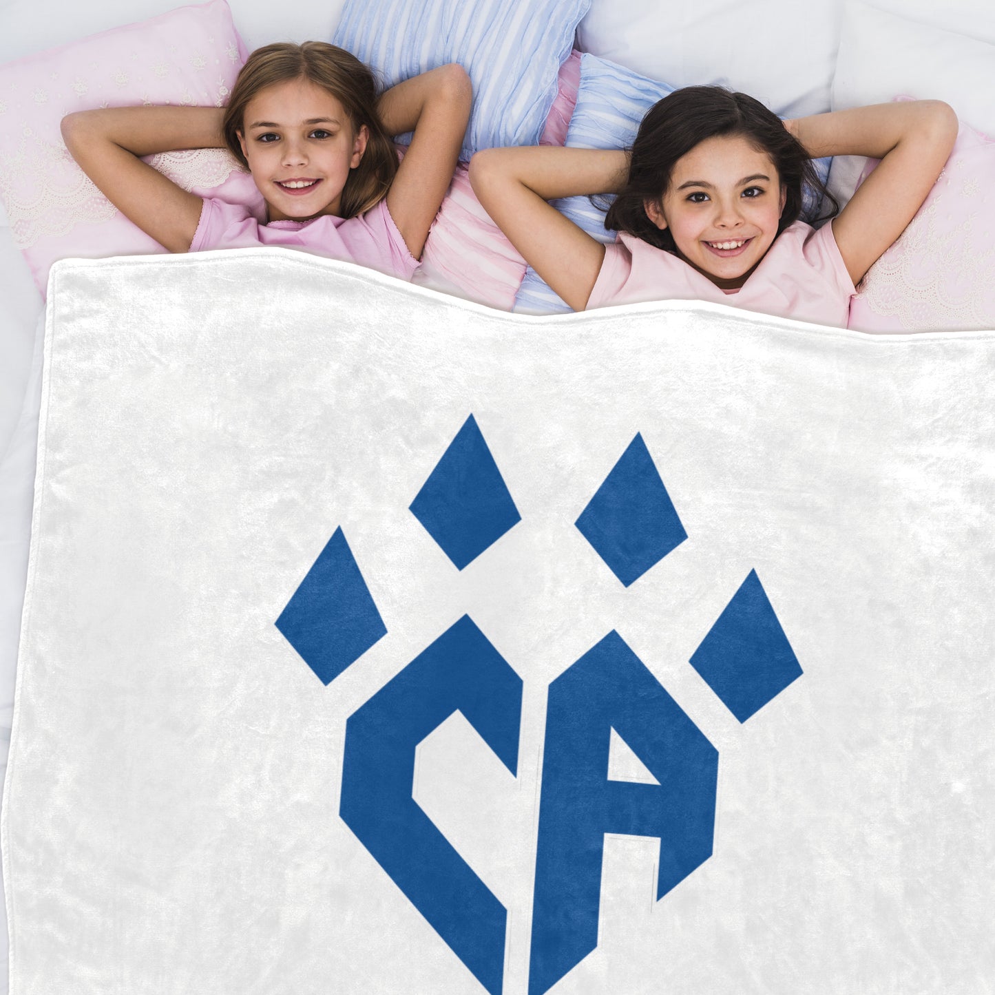 Ultra-Soft Micro Fleece Blanket